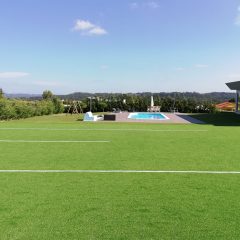 Relva Decorativa MAXGRASS