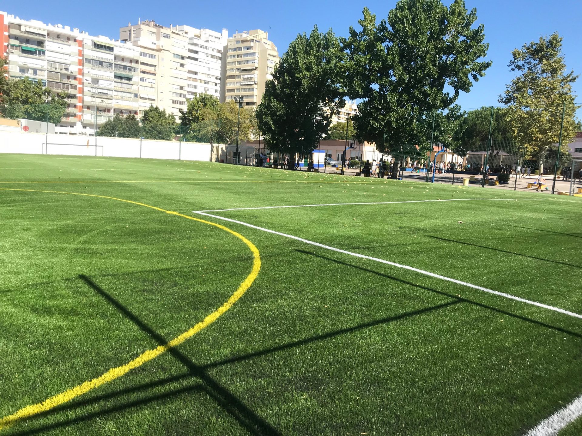 Relva Sintética MX 60mm Escolas SL Benfica