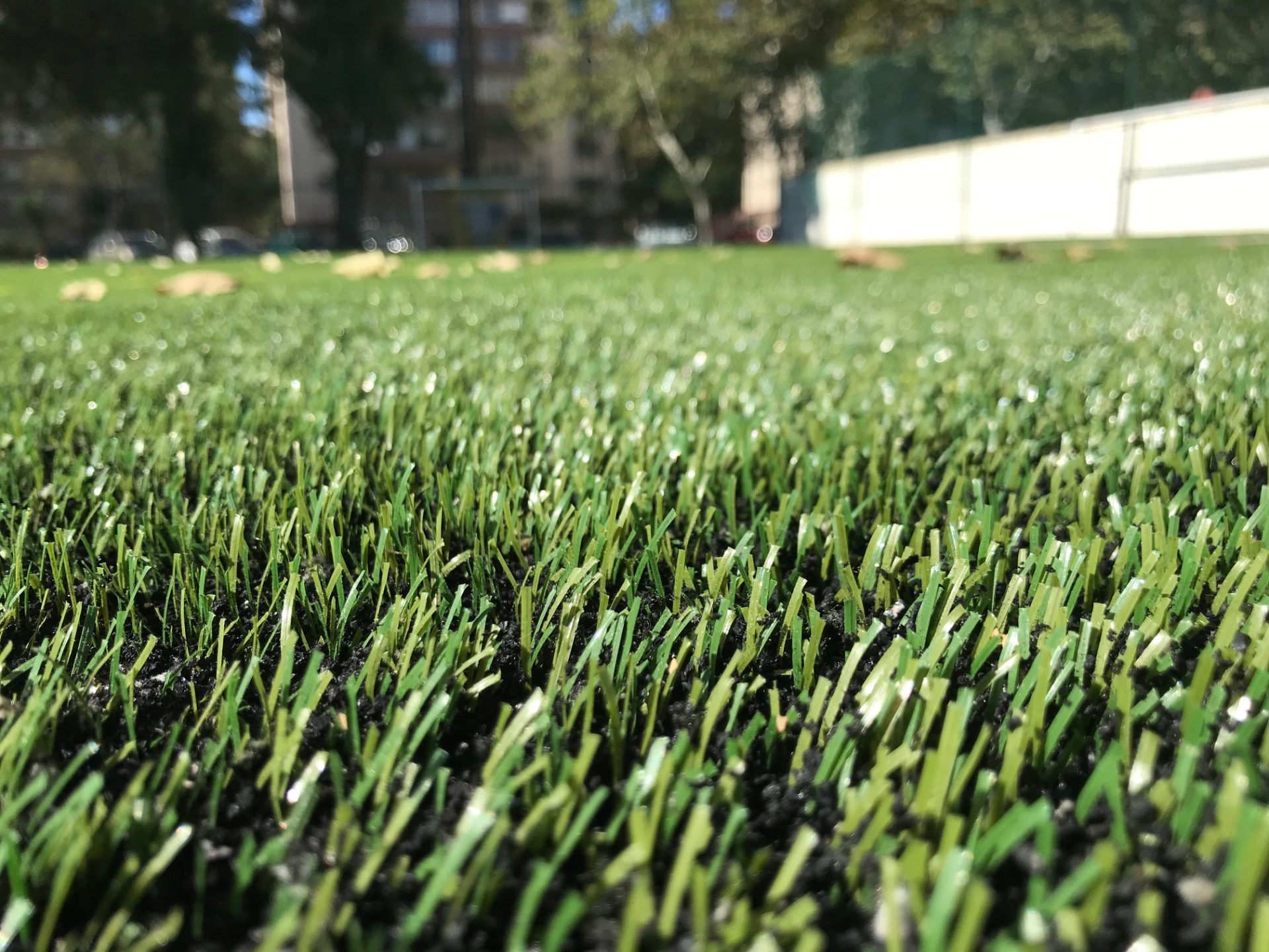 Relva Sintética MAXGRASS 60 mm