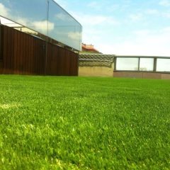 MaxGrass Plus 32