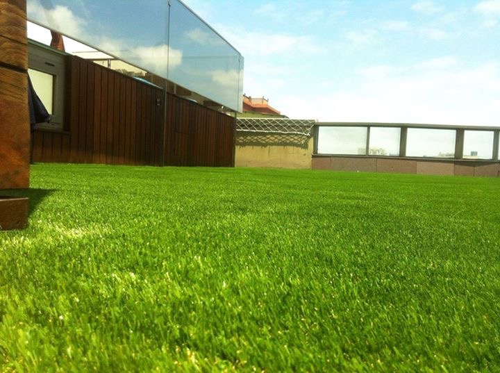 MaxGrass Plus 32