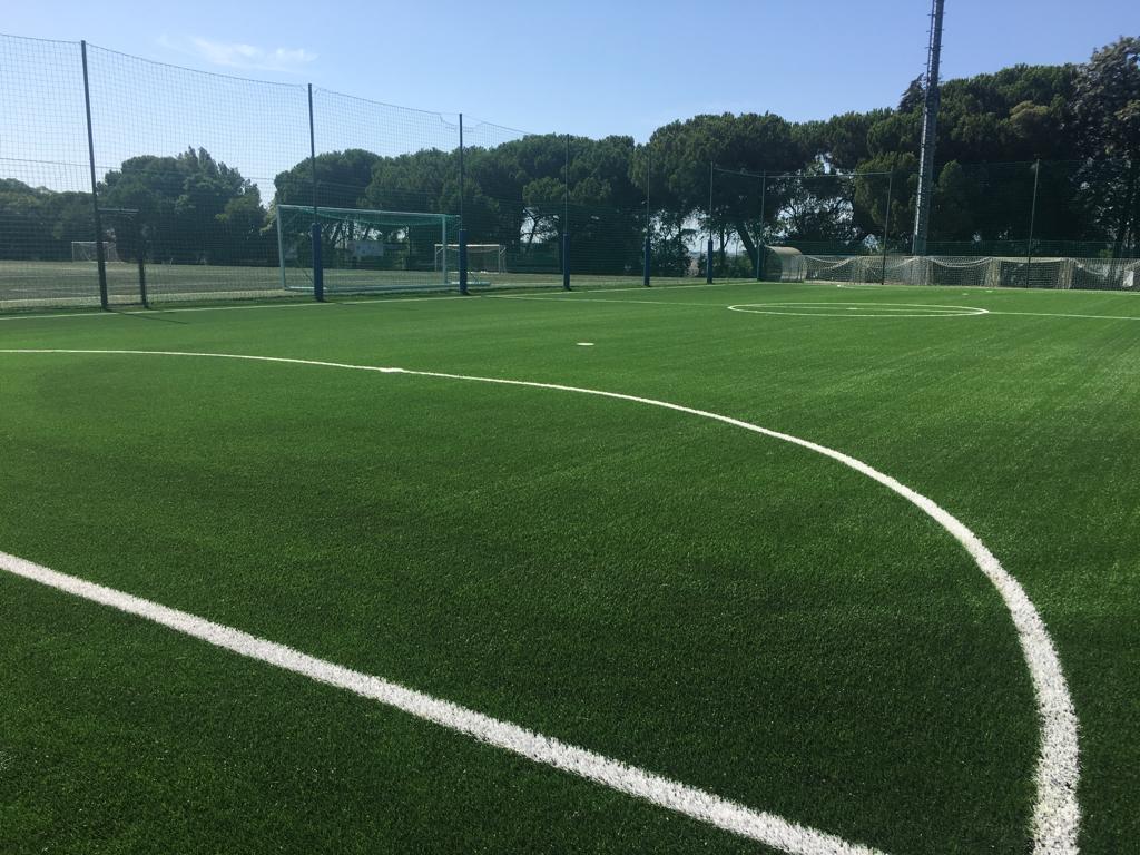 MAXGRASS 50