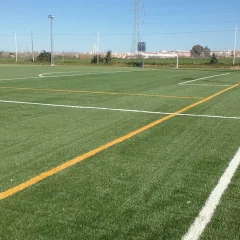 Sport Lisboa e Benfica